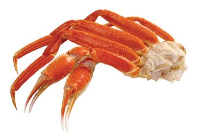 snow crab category